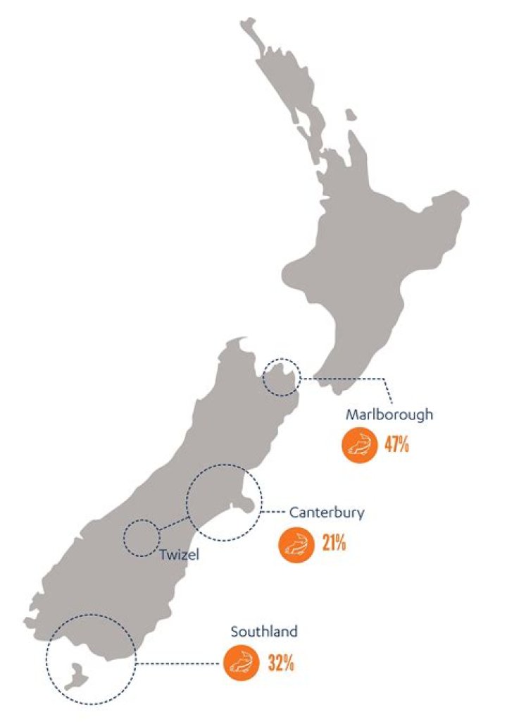Where does NZ timber go?