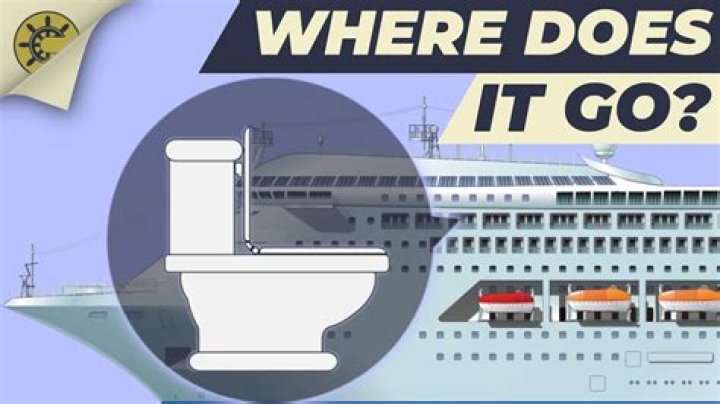 Where does poop go on cruise ship?