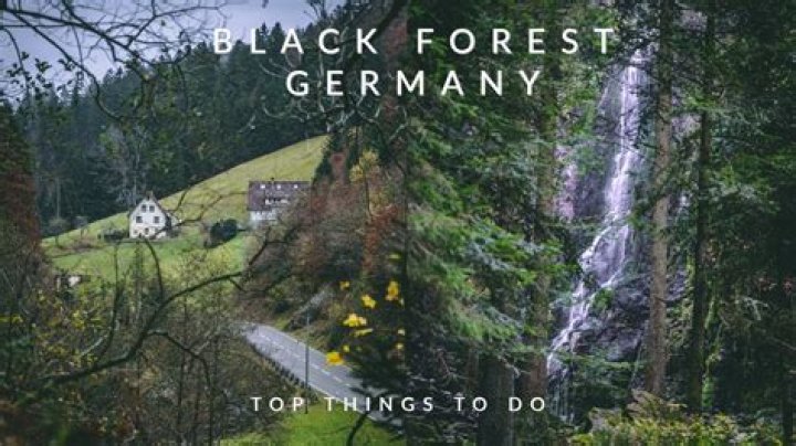 Where is Germany's Black Forest?