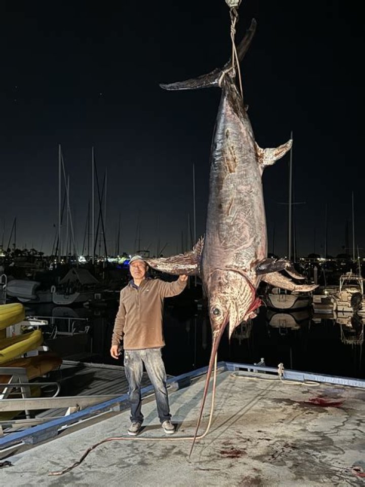 Where is mahi mahi fish caught?