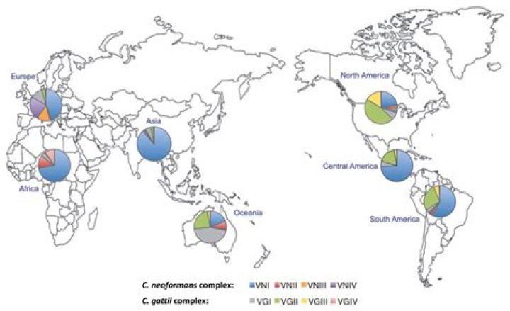 Where is mold most commonly found?