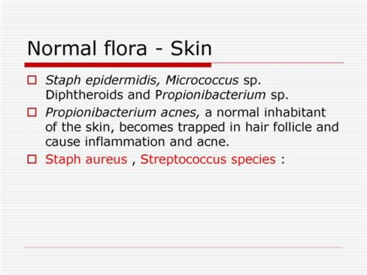 Where is skin flora most commonly found?