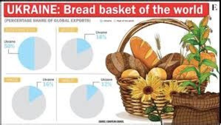 Where is the bread basket in Ukraine?
