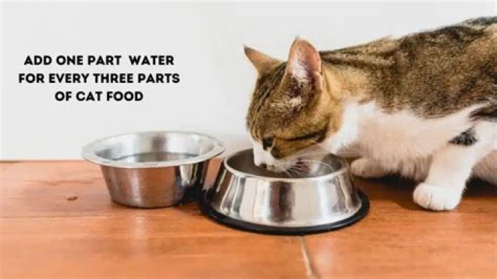 Where should you put wallpaper?