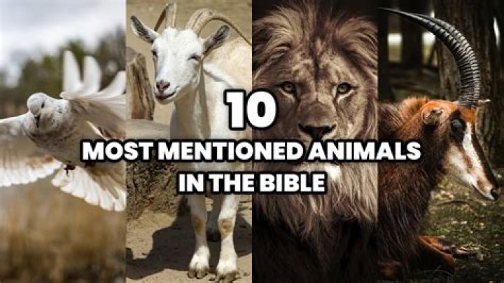 Which animal spoke in the Bible?