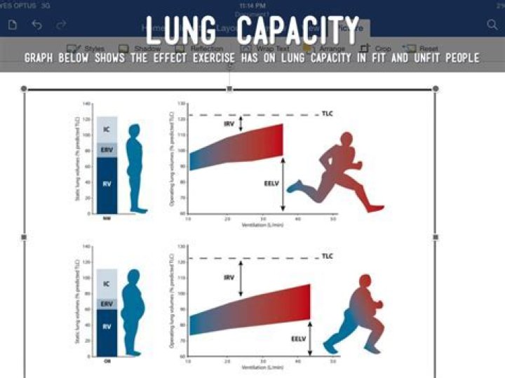 Which athletes have the highest lung capacity?