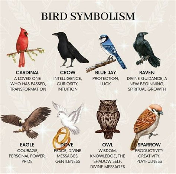 Which bird symbolizes happiness?