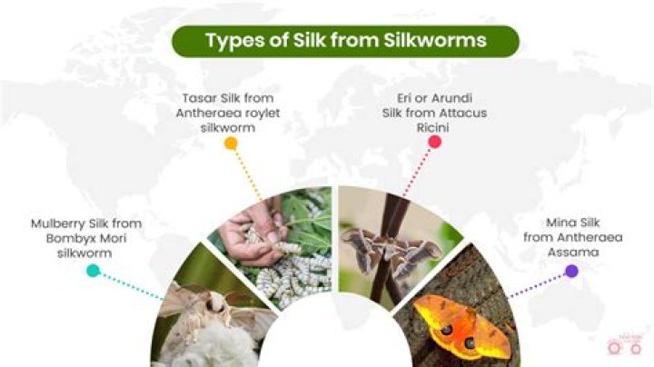 Which country first made silk?