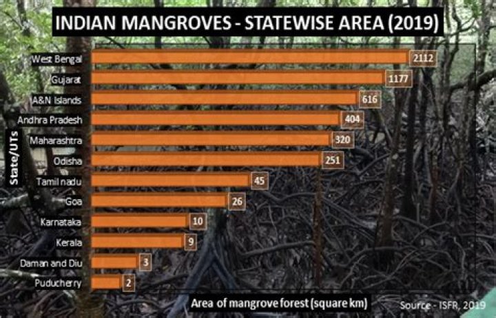 Which country has highest mangrove?