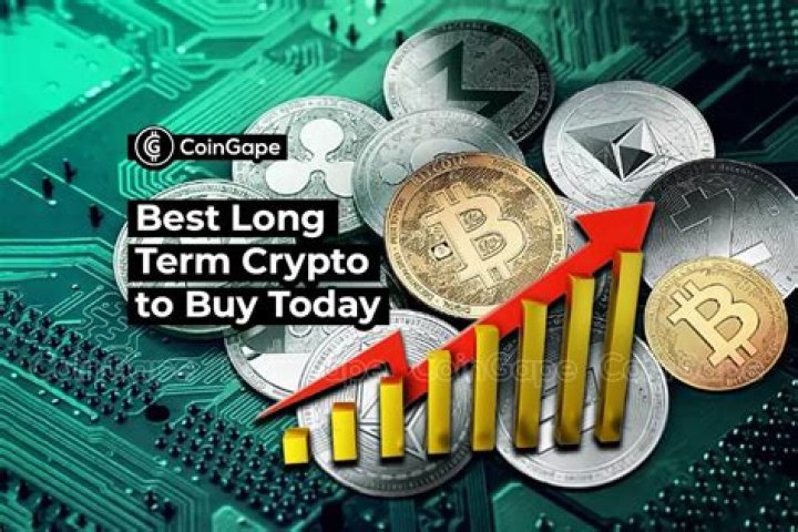 Which crypto to buy long term?