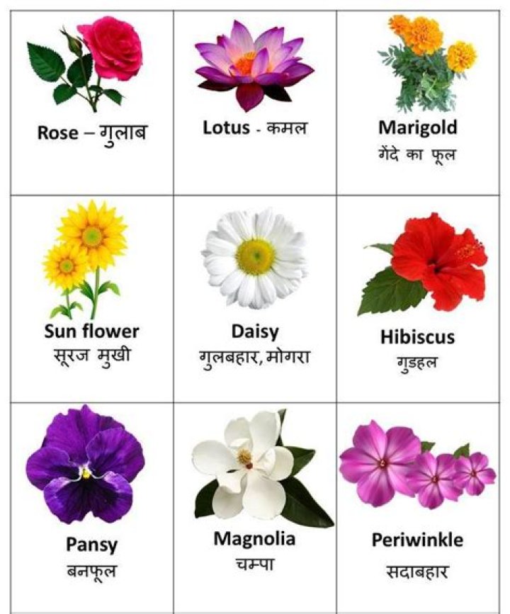Which flower is loved by Ganesha?