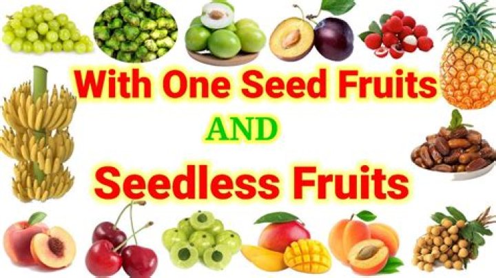 Which fruit has only 1 seed?