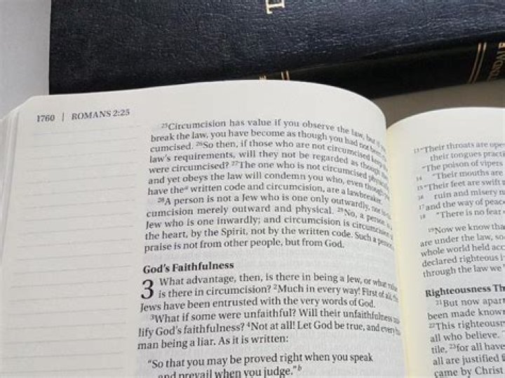 Which Holy Bible should you read?