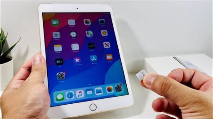 Which iPad has a SIM card slot?