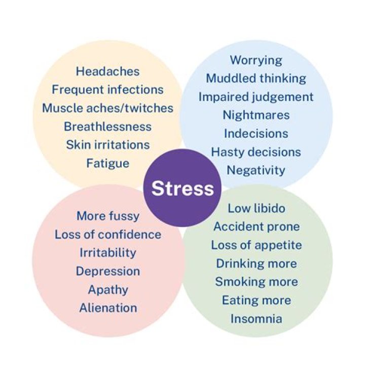 Which is a symptom of too much stress over a long period of time?