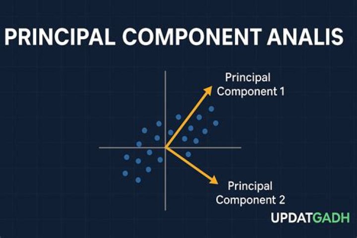 Which is an alternative technique to principal component analysis?