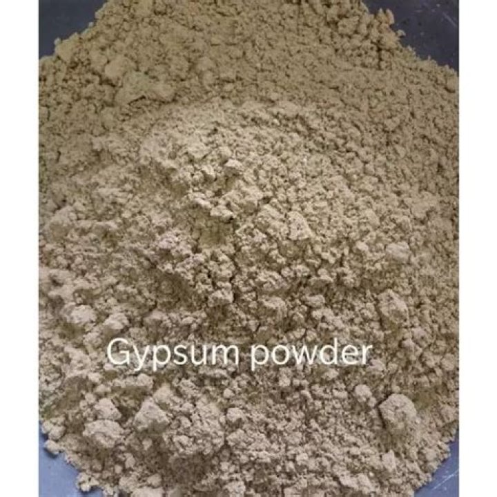 Which is best gypsum powder?