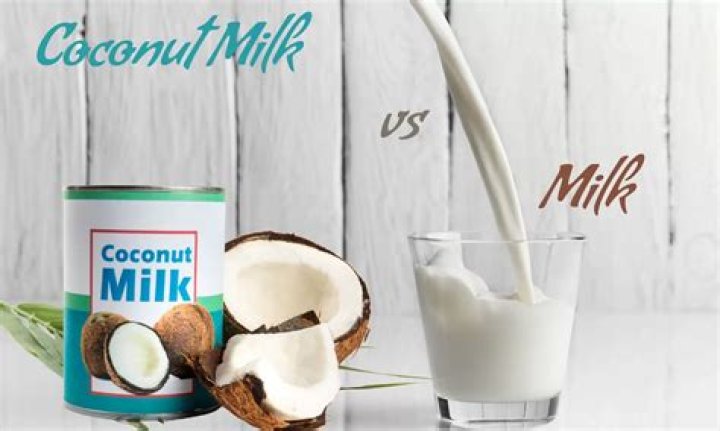 Which is better coconut milk or almond milk?