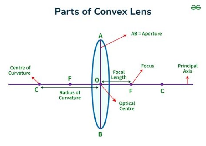 Which is convex lens?