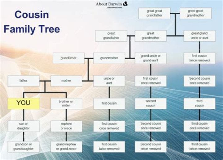Which is correct cousins or cousin's?