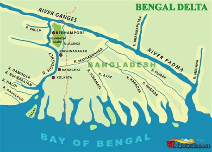 Which is the largest delta in India?