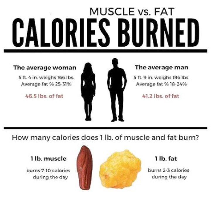 Which muscles burn the most calories?