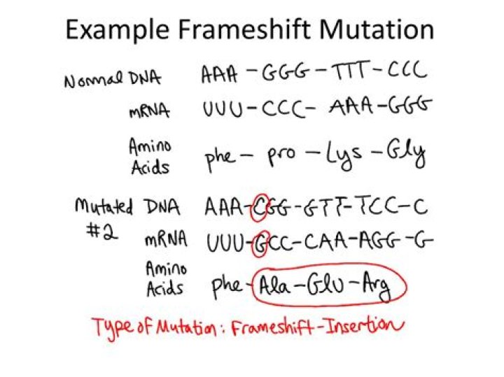 Which of the following is an example of a frameshift mutagen?
