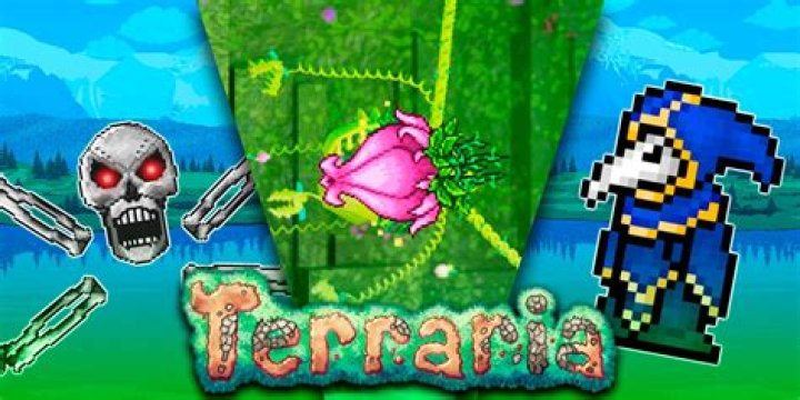 Which pillar is the hardest Terraria?
