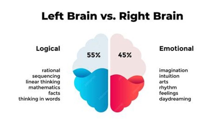 Which side of the brain is emotional?