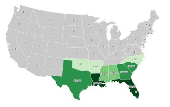 Which state has the most Wal-Mart?