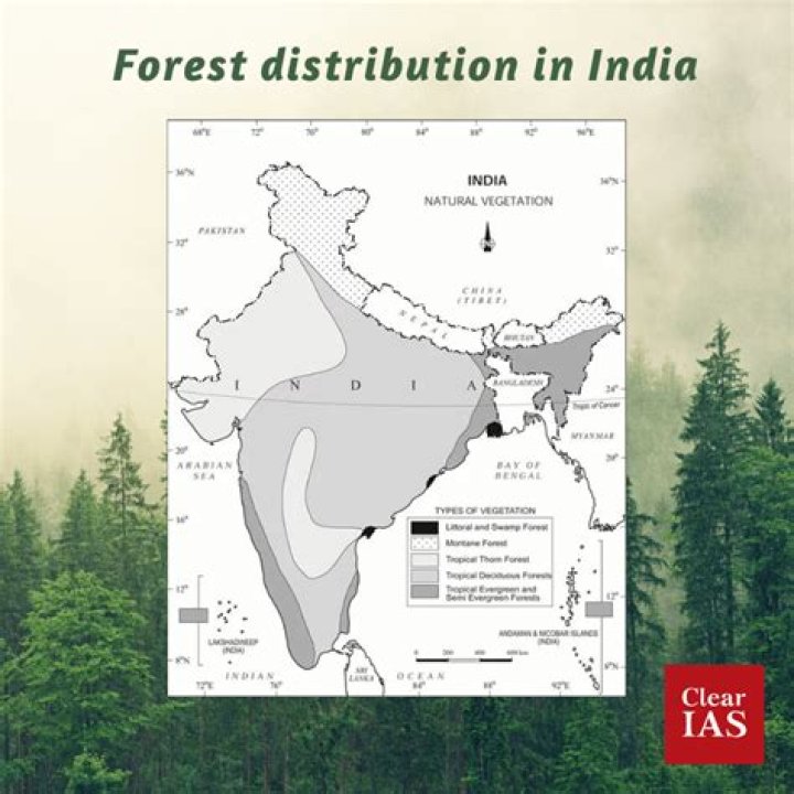 Which type of forest dominates most part of India class 7th?