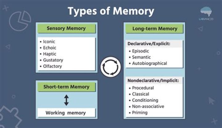 Which type of memory is first affected by dementia?