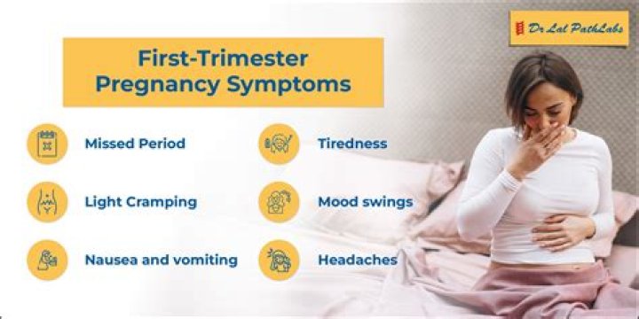 Which week is most crucial in first trimester?