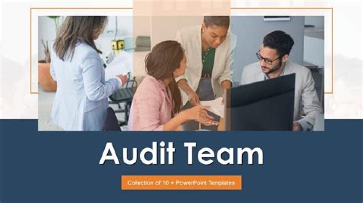 Who are the audit team members?