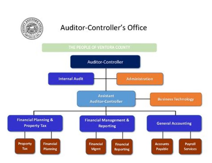 Who Cannot be appointed as cost auditor of a company?