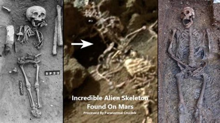 Who created dog on Mars?