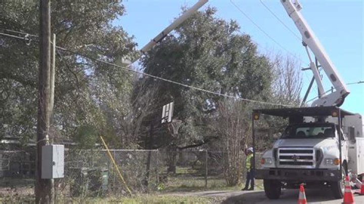 Who do you call to trim trees around power lines?