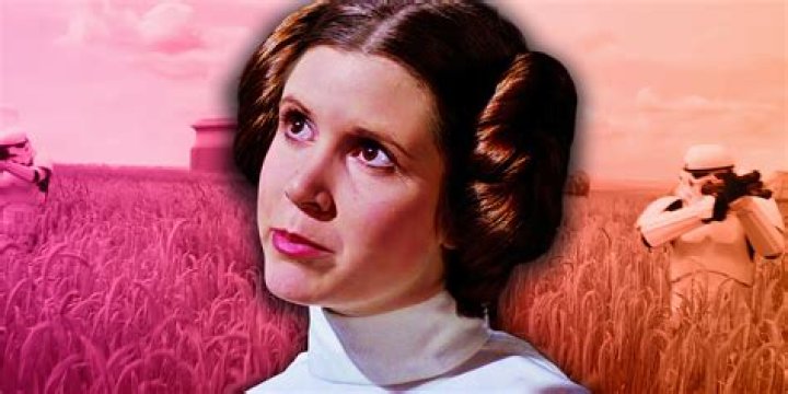 Who does Princess Leia sleep with?