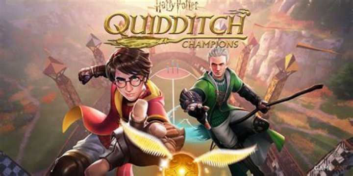 Who ended up catching the snitch and winning the Quidditch game?