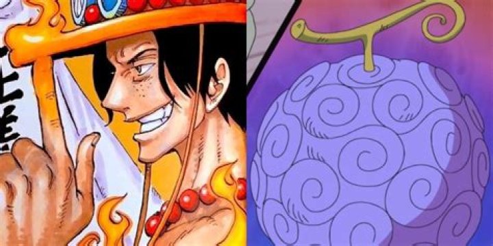 Who gets ACE's Devil Fruit?