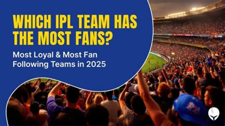 Who has loyal fans in IPL?
