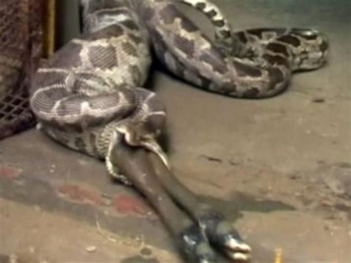 Who has Rimuru eaten?