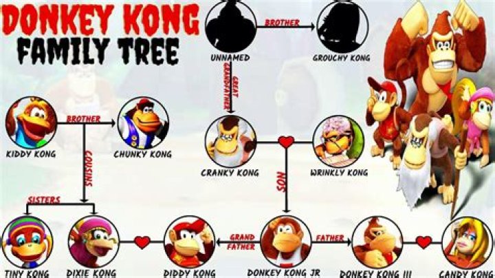 Who is Donkey Kong's wife?