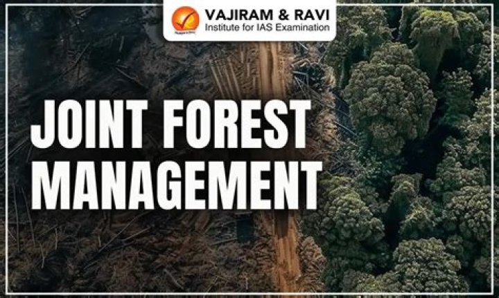 Who is responsible for forest management in India?