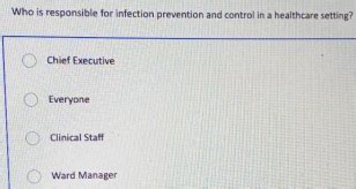 Who is responsible for infection prevention and control in a healthcare setting?
