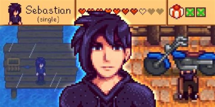 Who is Sebastian's biological father Stardew Valley?