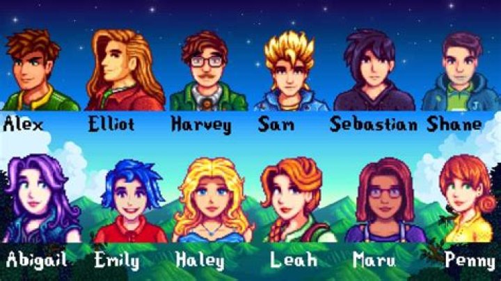 Who is the best to marry in Stardew Valley?