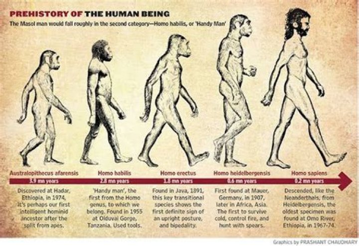 Who is the first known human?