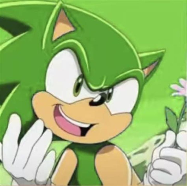 Who is the green bird in Sonic?