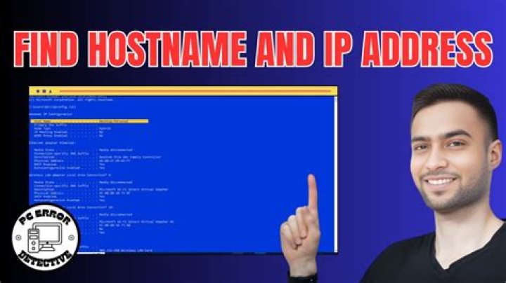 Who is the No 1 host in India?